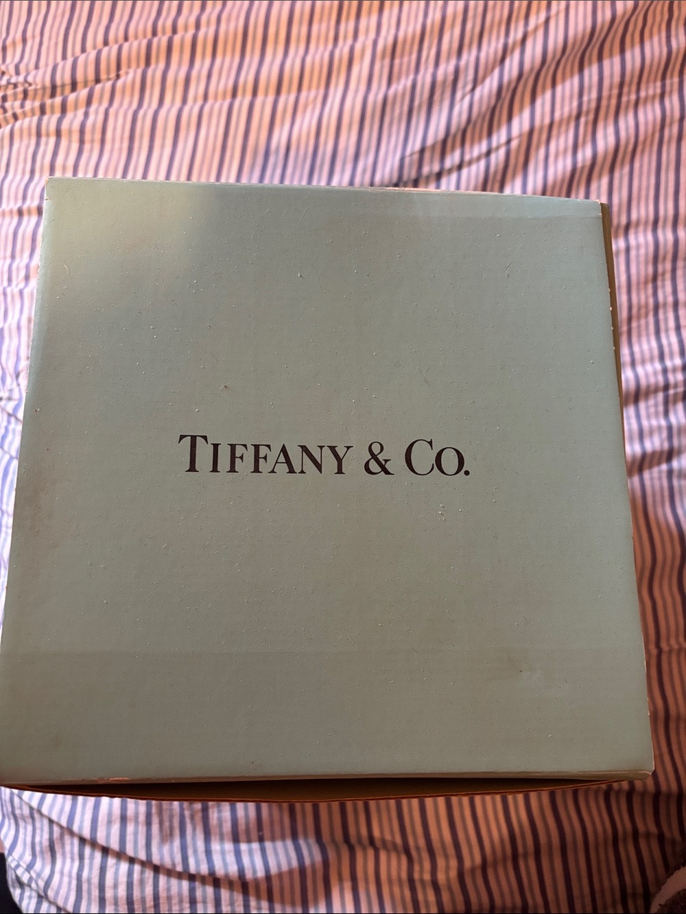 Tiffany & Co. Robin's Egg Blue Box